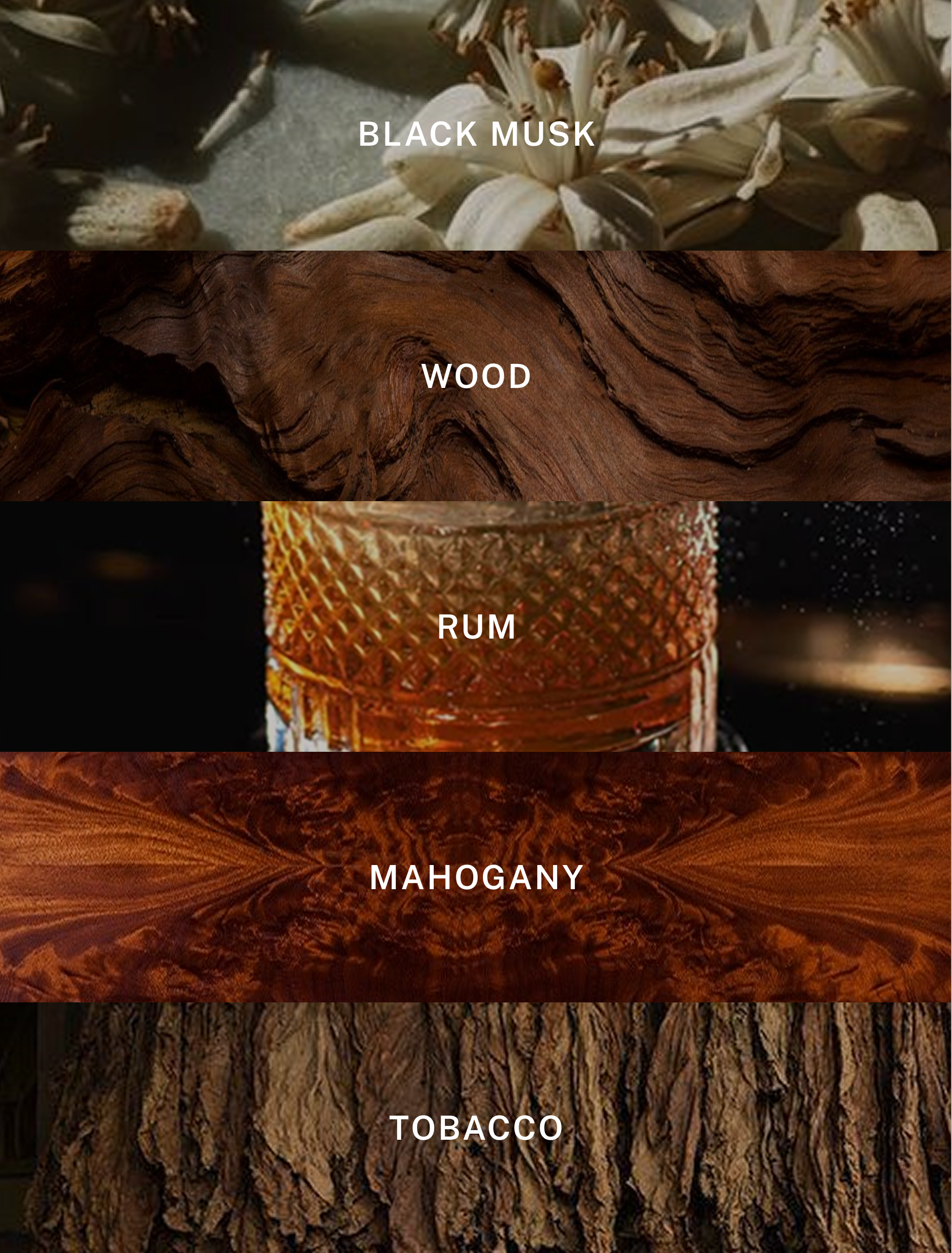 Hotel Lobby Candle - Wholesale Jar/Filled Candle - Paris Nuit - Luxury Fall Scented Candle - 9.75 oz1