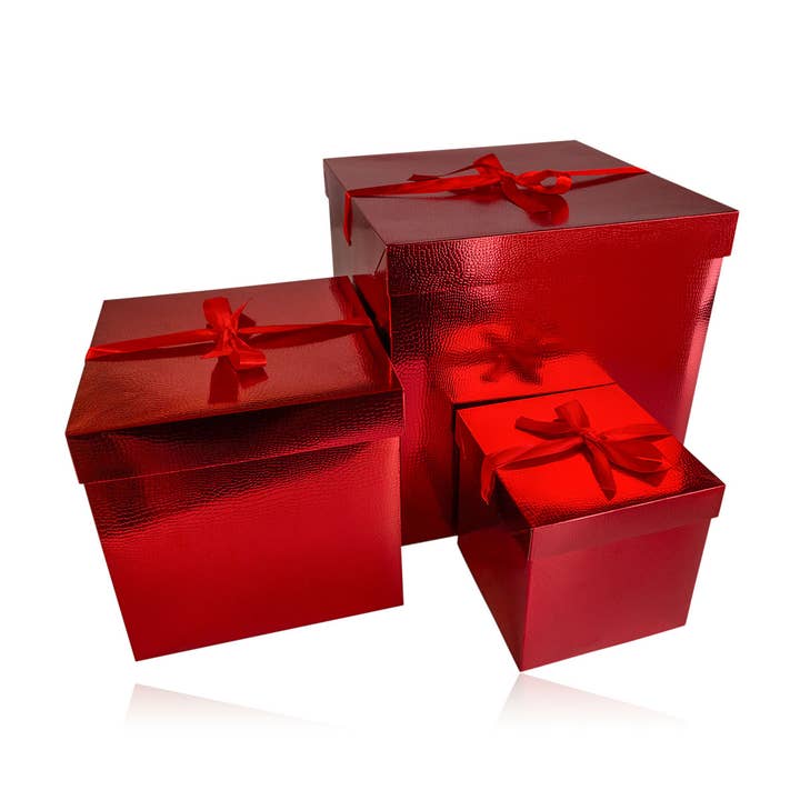 Accentra - Wholesale Gift Box - Large Foldable Gift Box1