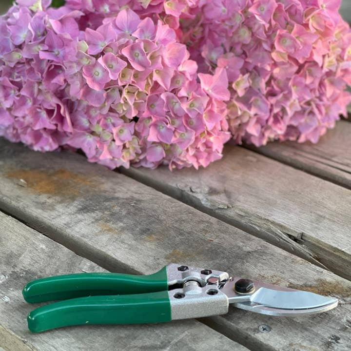 Pruner Shears For the Garden - Our Best Hand Pruners - Carbon Steel for wholesale by Celtic Farm LLC