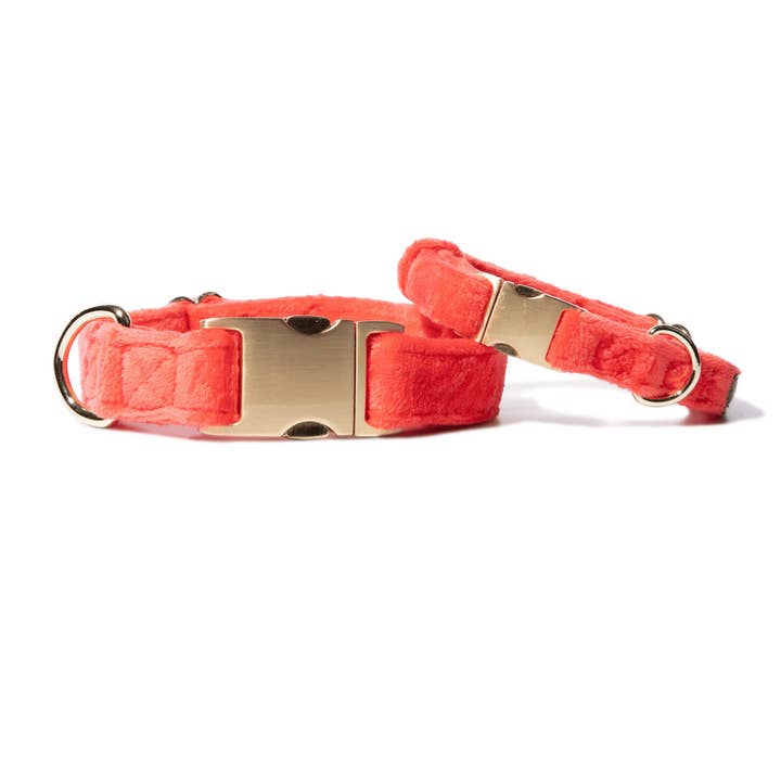 Collare per Cani Suki | Collare per Cani Rosso Arancione | Collare per Cani per la vendita all'ingrosso da parte di Pink Papyrus | Premium, Durable, & Stylish Dog Products