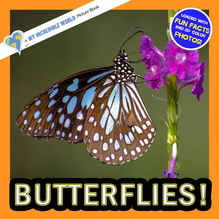 Butterflies! A My Incredible World Picture Book for Children for wholesale by My Incredible World