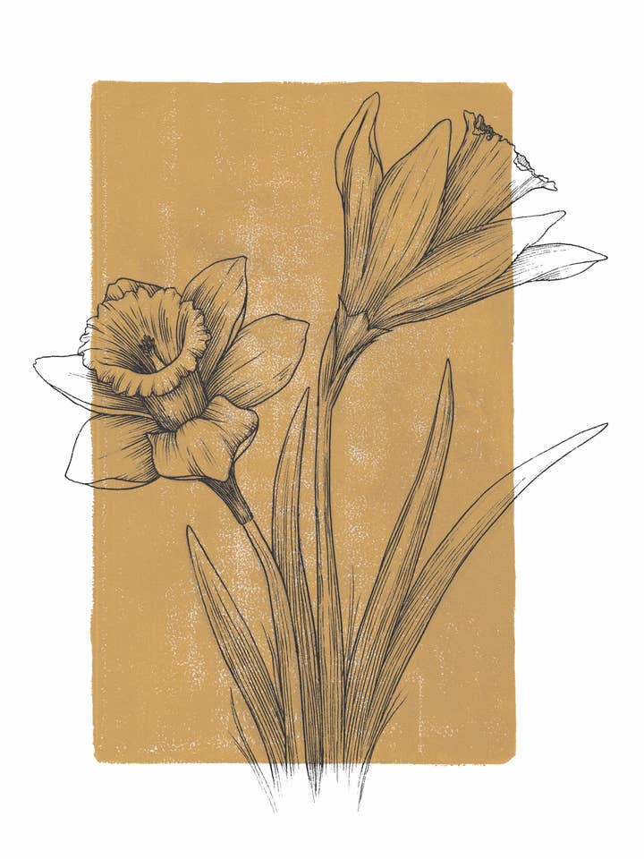 Impression artistique à l'encre et linogravure sur jonquilles pour la vente par Kyla Rae Design