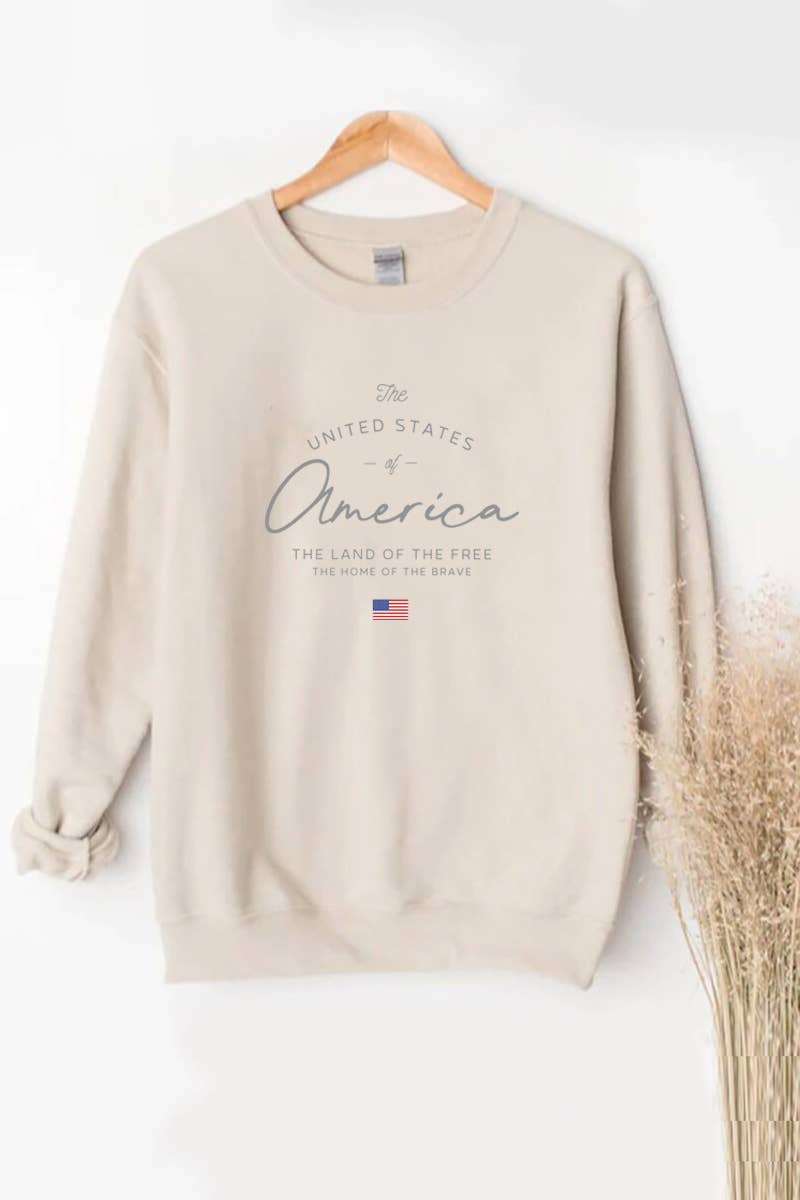 PINK NABI – wholesale Graphic sweatshirt – Women’s – PNSS-Y4261 The United States of America Printed Sweatshirt1