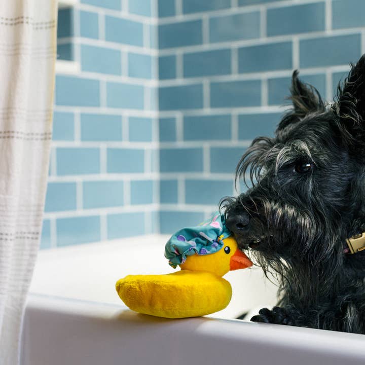 P.L.A.Y. Pet Lifestyle and You – Peluche - Cão por atacado – Splish Splash Bolhas o Pato1
