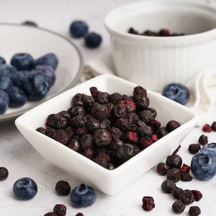 Still Life - Wholesale Dried/Dehydrated Fruit - Freeze Dried Organic Blueberries2