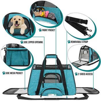 Pet Life Airline Approved Folding Zippered Sporty Mesh Pet Carrier in Green & Khaki, Medium