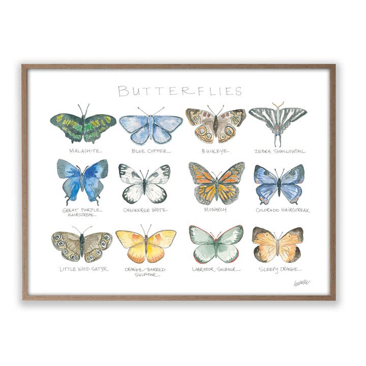 Butterflies: A Watercolor Story Art Print for wholesale by Elizabeth Wade Studio
