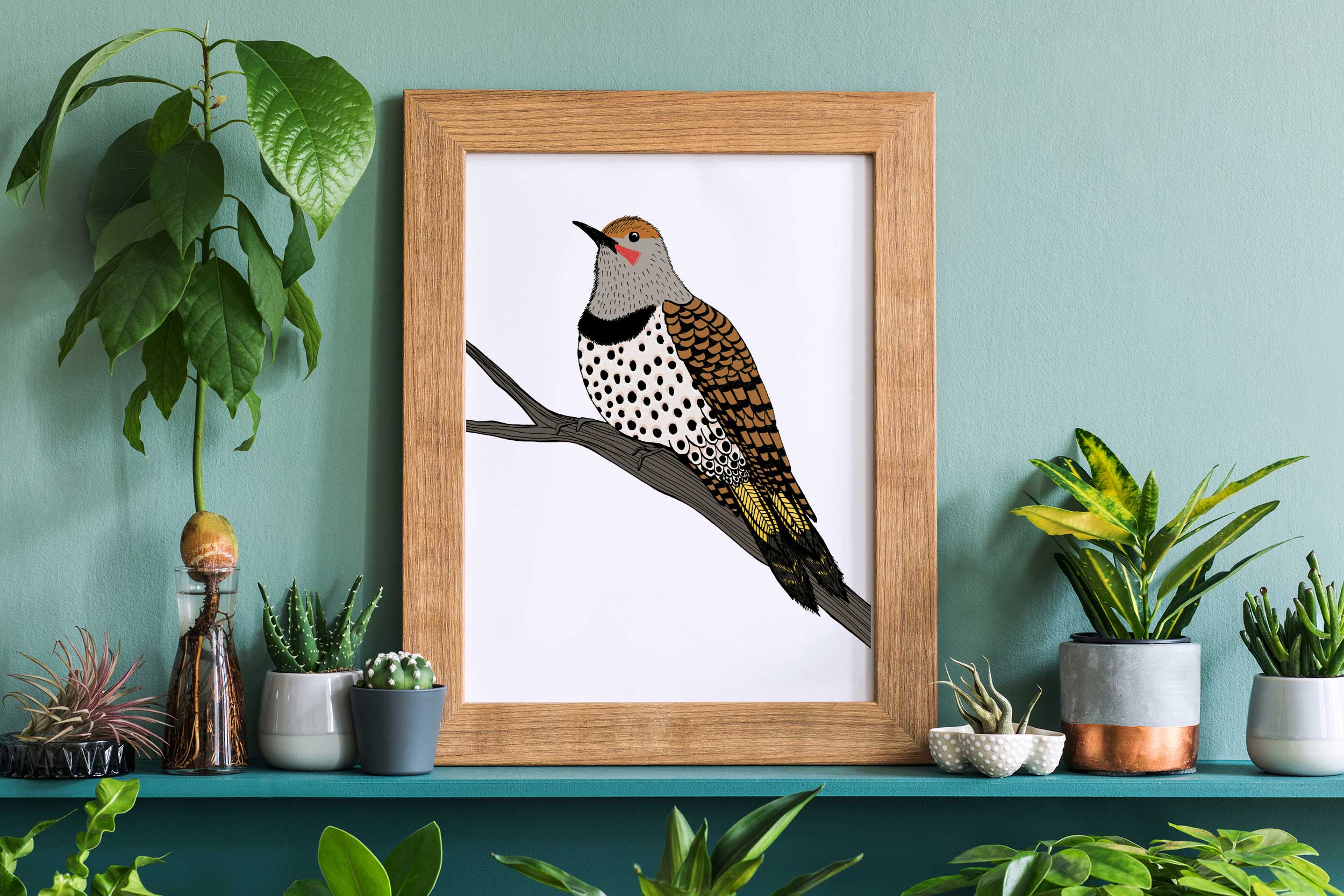 Sloe Gin Fizz – wholesale Art print – Northern Flicker on a Branch Print2