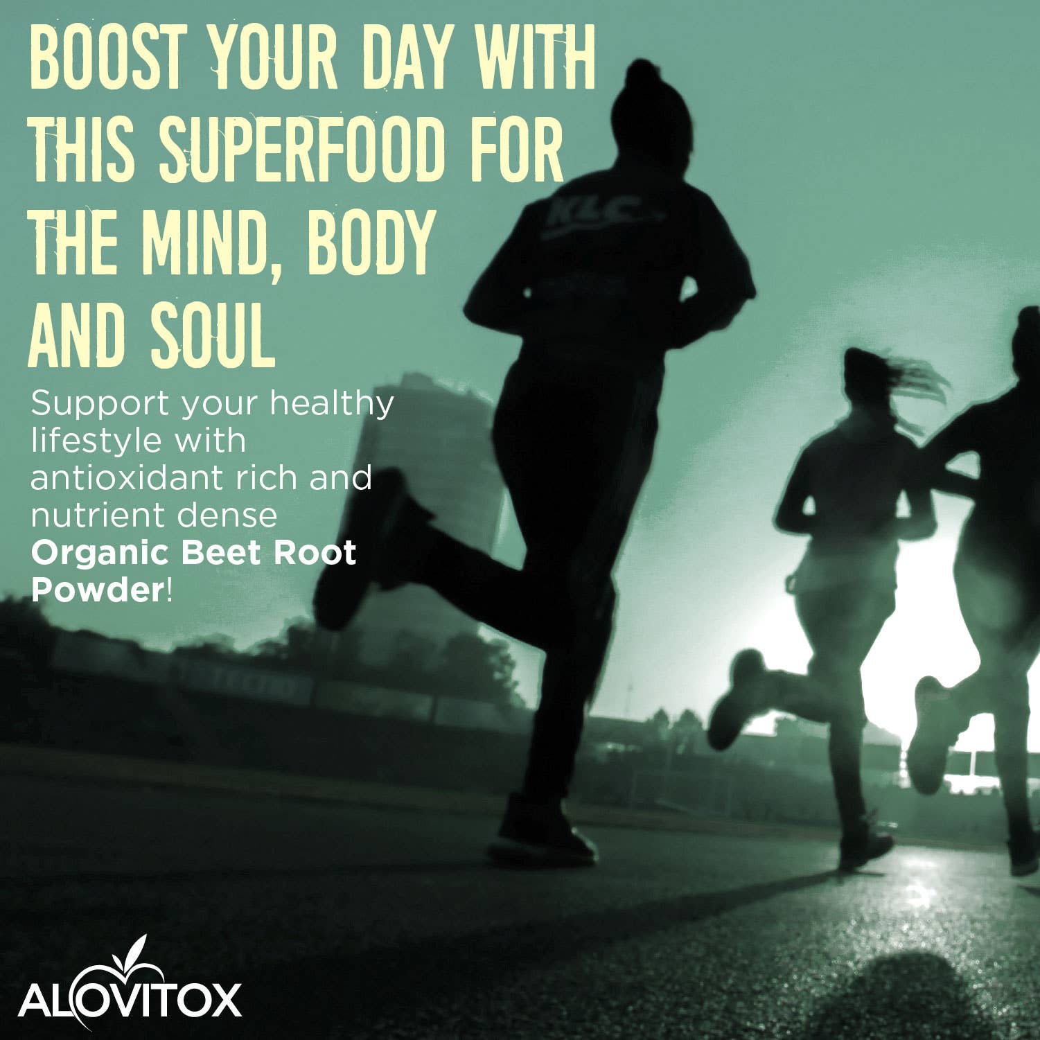 Alovitox - Wholesale Protein/Superfood Powder - Certified Organic Beet Root Powder6