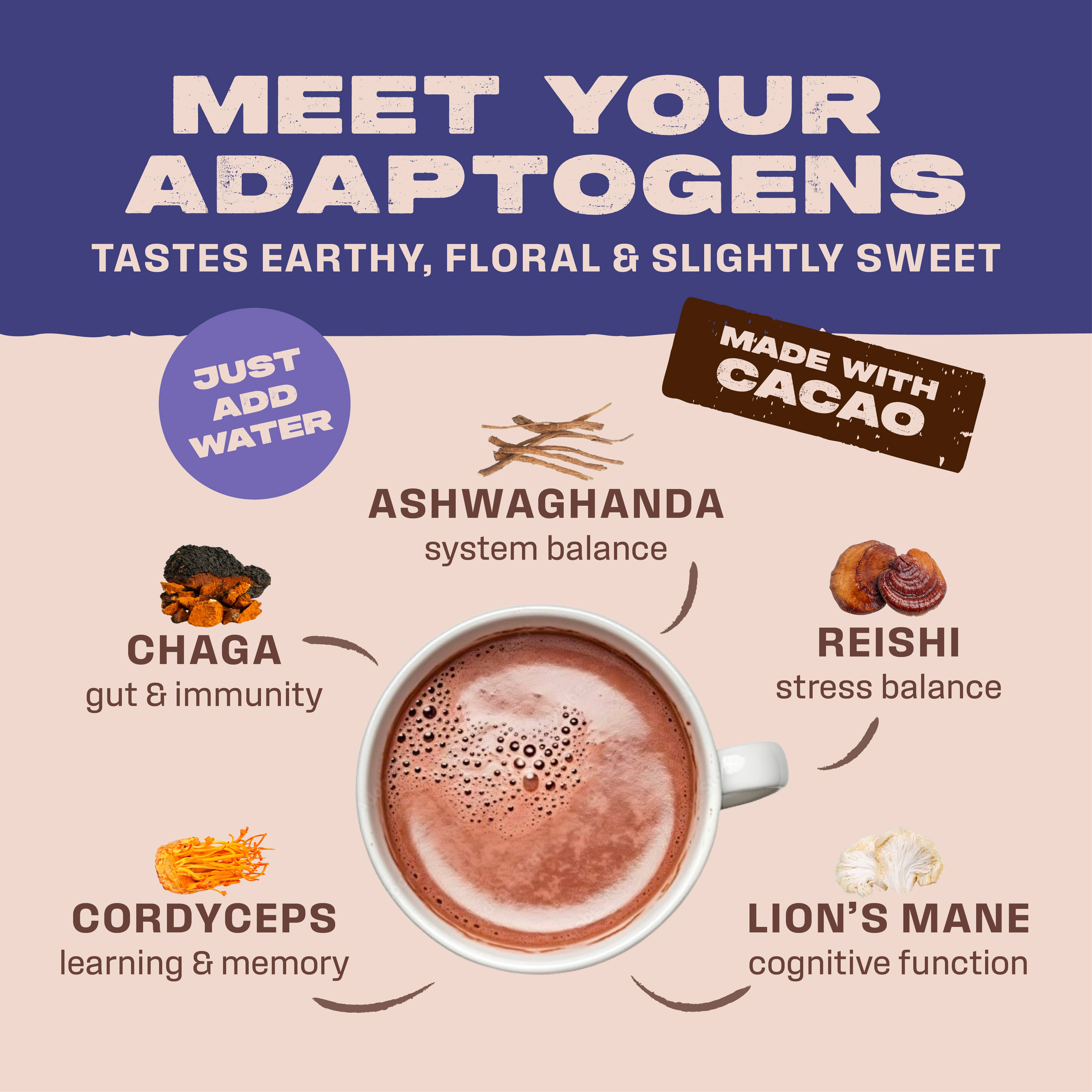 360 Nutriton - Wholesale Protein/Superfood Powder - 5 Shroom Brew - Adaptogenic Cacao 5 oz3