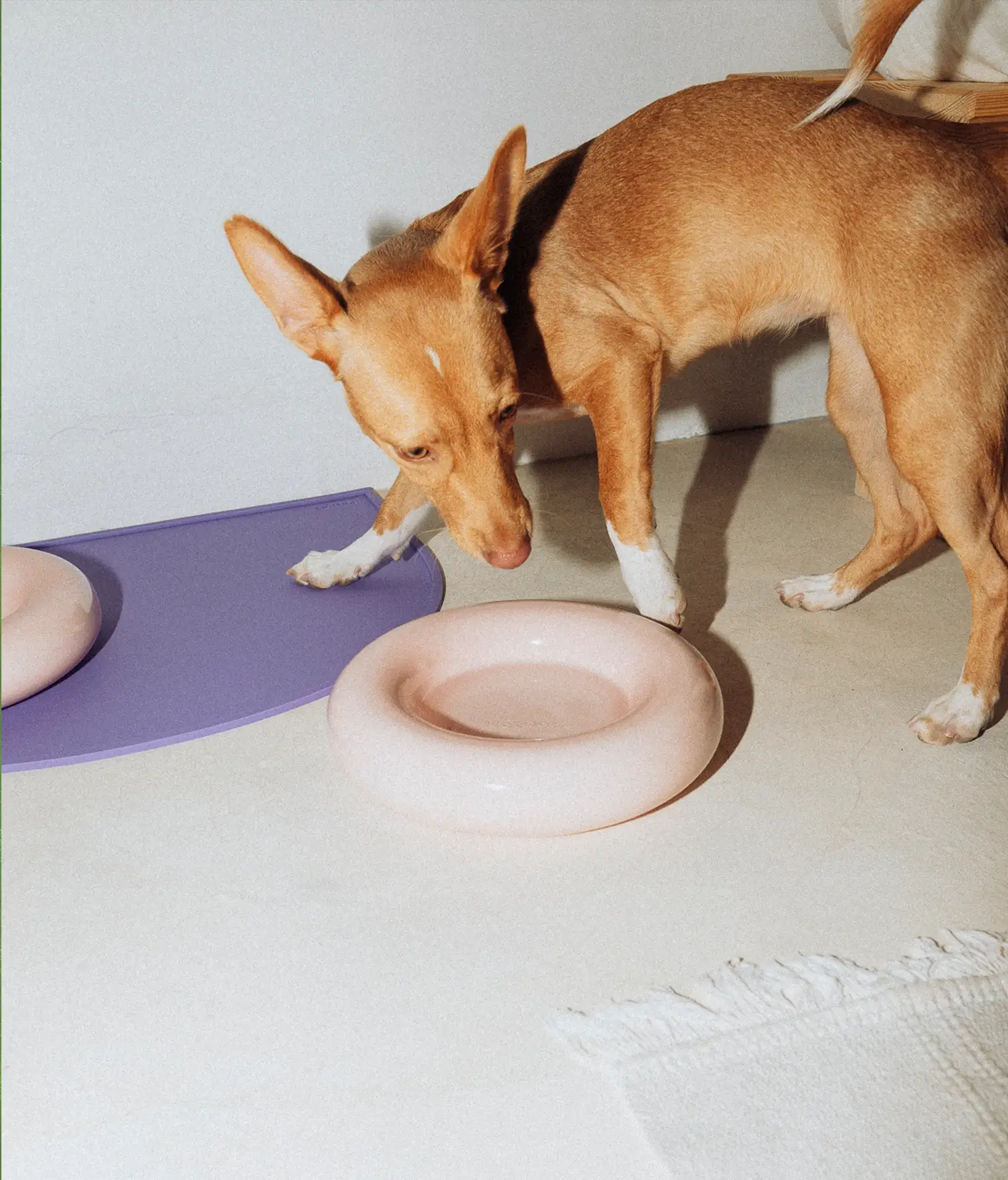 HotDog Pets - Wholesale Pet Bowl - Cat/Dog - Pink ceramic dog feeder2