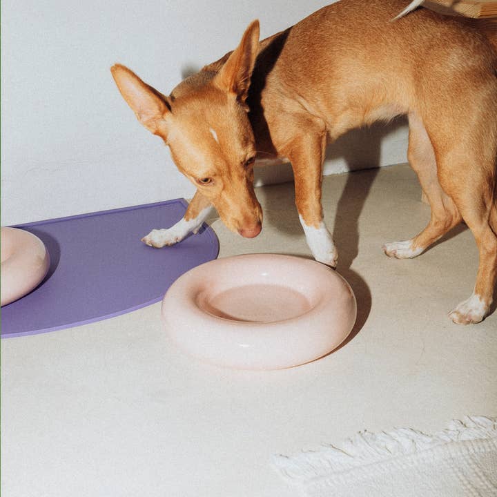 HotDog Pets - Wholesale Pet Bowl - Cat/Dog - Pink ceramic dog feeder2