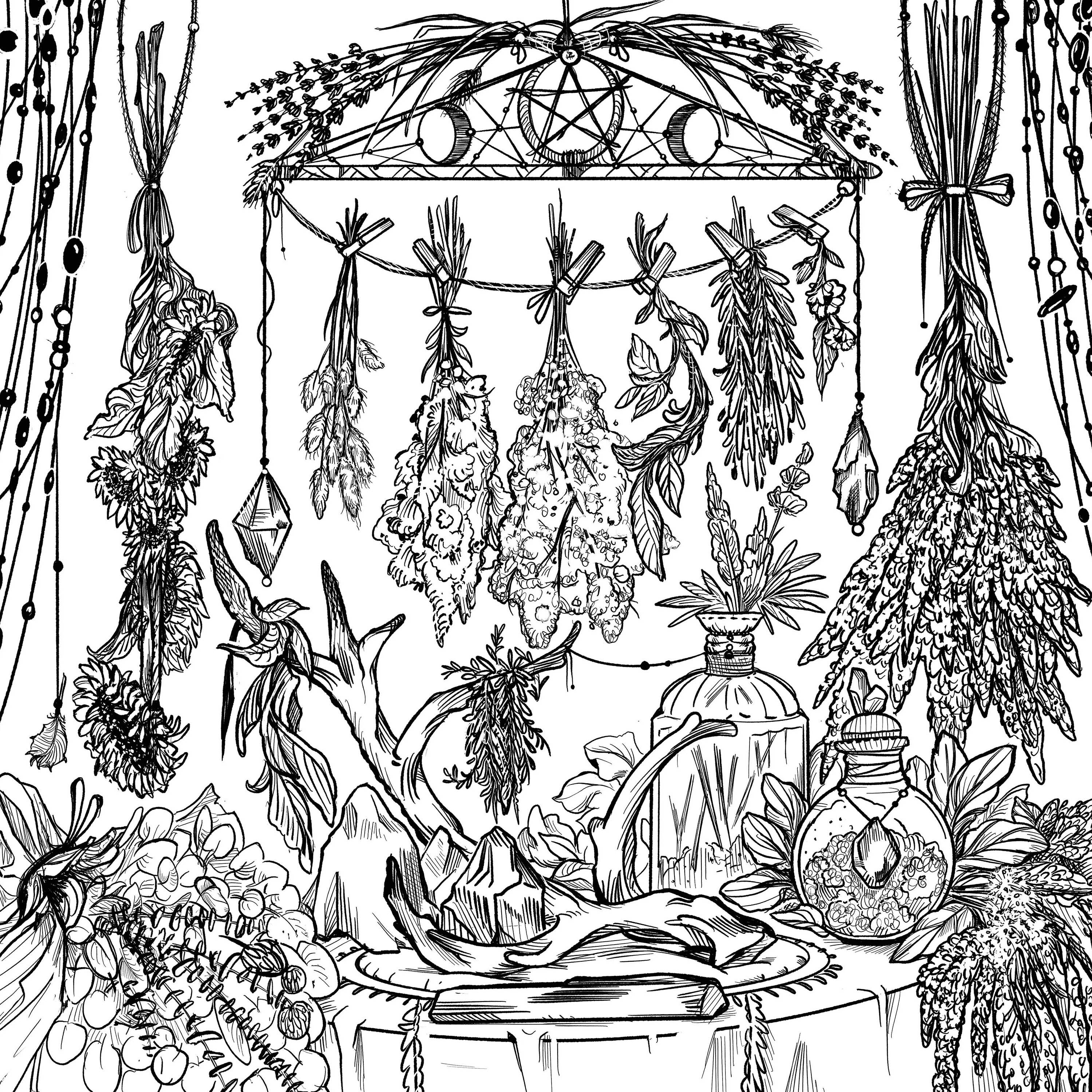 Simon & Schuster UK – wholesale Colouring and activity book – adult – Green Witch's Coloring Book1