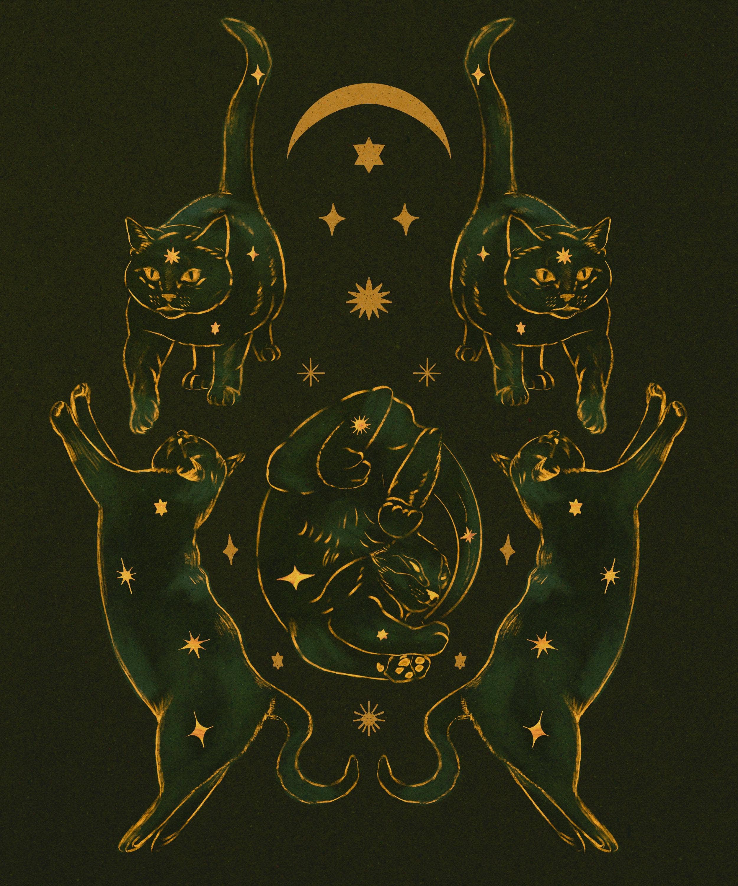 Black Moss Studio - Wholesale Art Print - Whimsigoth Celestial Cat Starry Night Art Print8