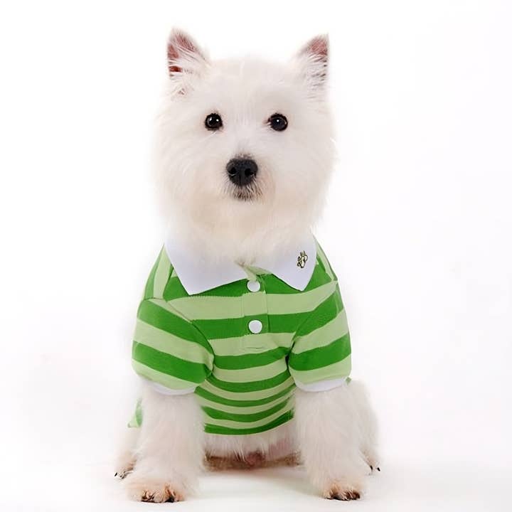 Dogo Pet - Wholesale Pet Shirt - Dog - PP Stripe Polo Shirt15