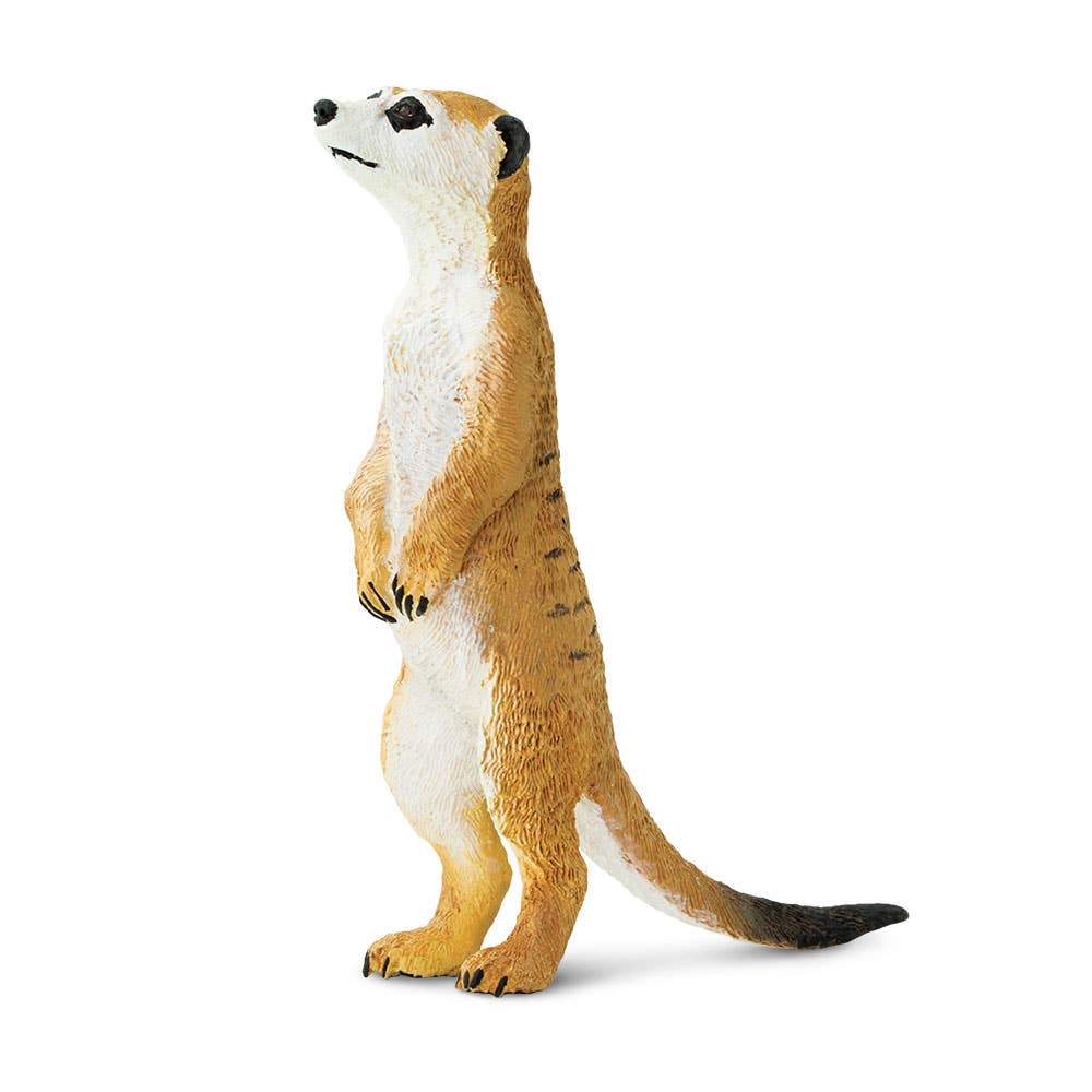 Safari Ltd. - Wholesale Figurine Toy - Kids - Meerkat - 2246290