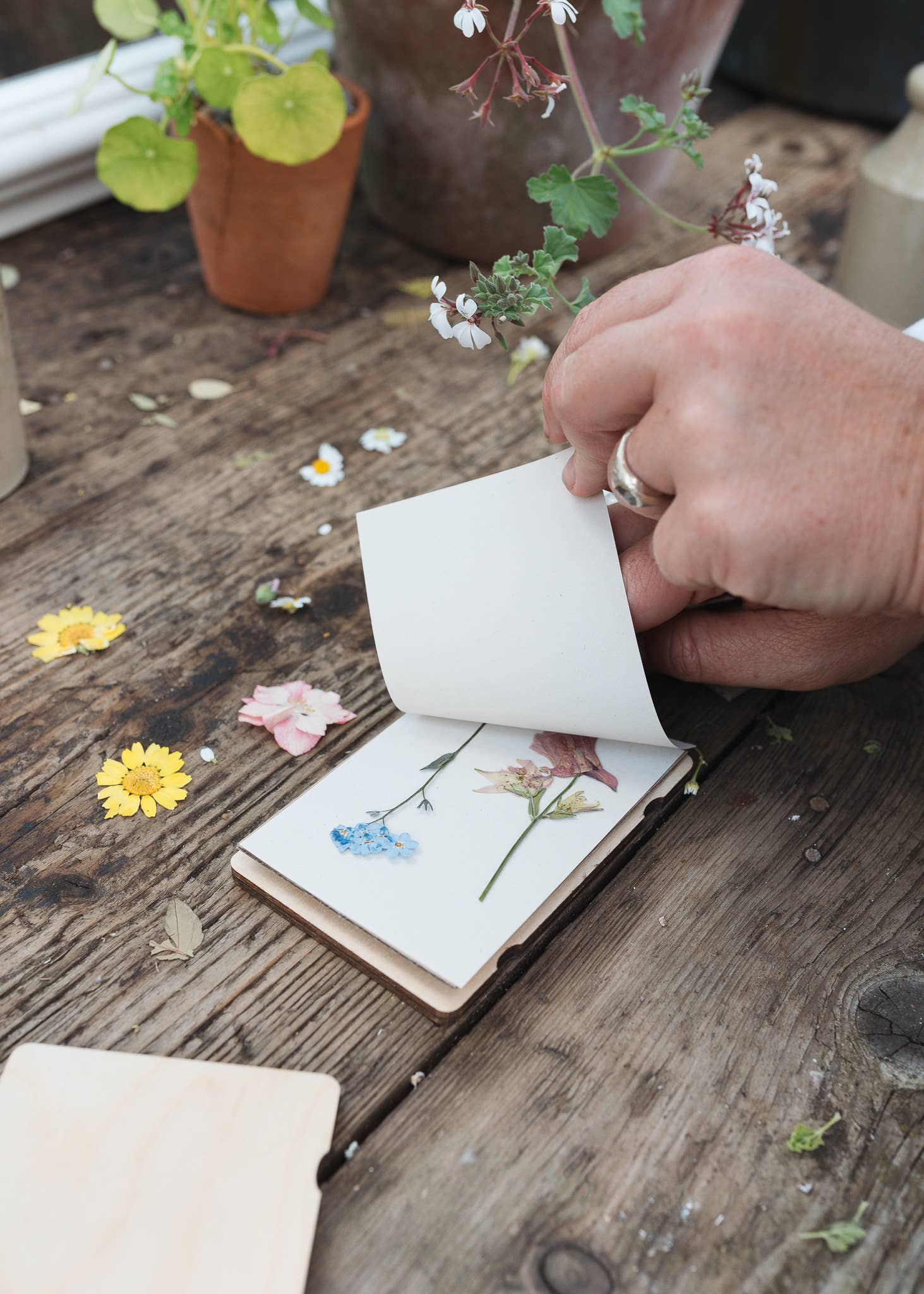 Studio Wald - UK Made – wholesale DIY craft kit – Pocket Flower Press - Vine2