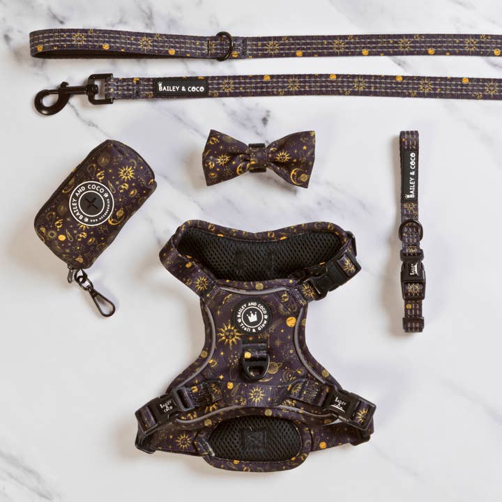 Trail & Glow® Harness Bundle Set - Celestial for wholesale by Bailey and Coco