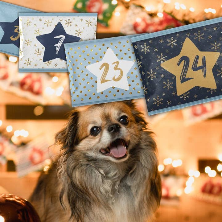 Advent Calendar QCHEFS for dogs - (1 Piece/SKU) for wholesale by Q-Pet GmbH