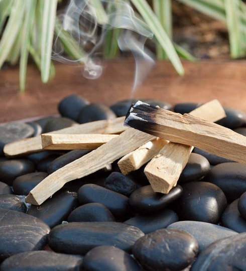 The Treasure Chest Gifts & More  Previously ELH - Wholesale Incense - Palo Santo Incense Burning Sticks-Natural Cut3