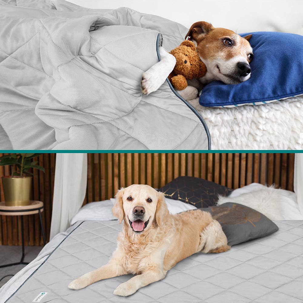 PetAmi - Wholesale Pet Blanket - Cat/Dog - Cooling Tech Pet Blanket25