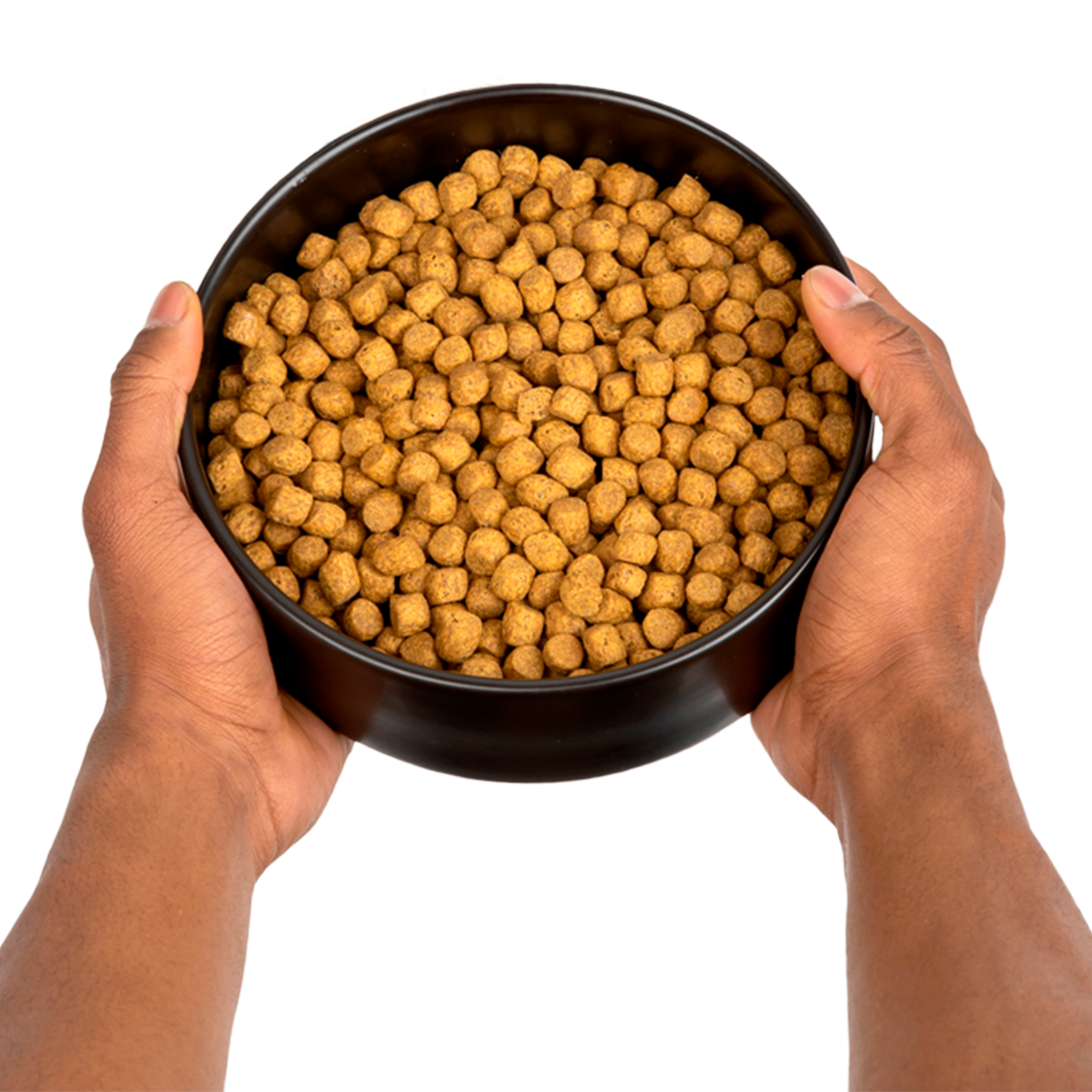 Wild Earth - Wholesale Pet Food - Dog - Maintenance Formula Dog Food, Classic Roast, 28lbs5