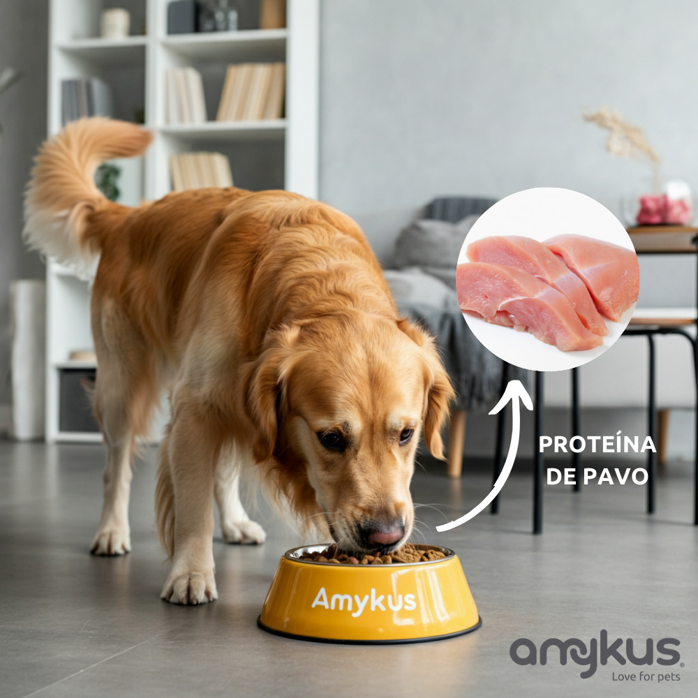 Amykus - Wholesale Voer - Hond - Amykus graanvrij kalkoenenvoer - graanvrij voer voor volwassen honden4