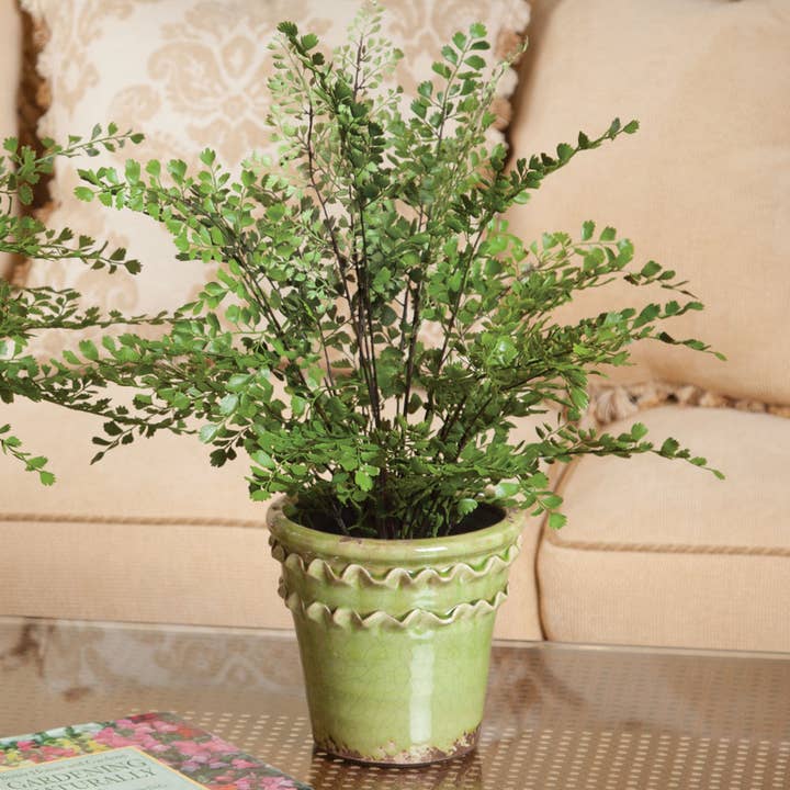 Napa Home & Garden - Wholesale Artificial Plant - Maidenhair Fern Drop-In 18"1