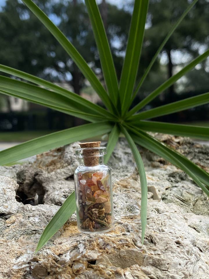 Gourde Zodiac pour la vente par Megans Mystics