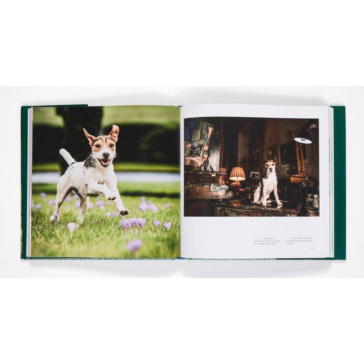 Penguin Random House LLC - Wholesale Pets - Country Life's Book Of Dogs1