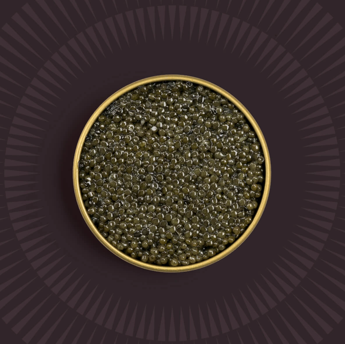 Golden Goat Caviar - Wholesale Fish/Seafood - Paddlefish Roe1