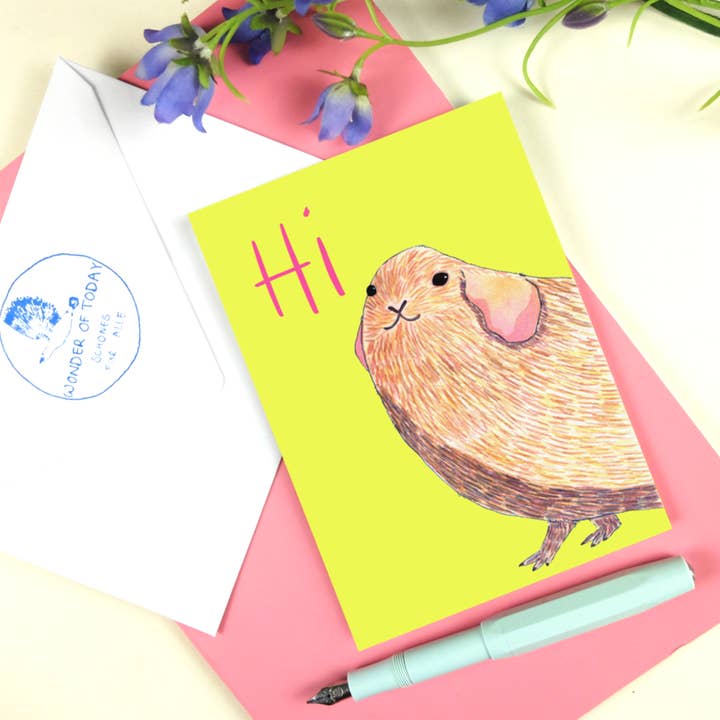 Postcard Hi for wholesale by Wonder Of Today