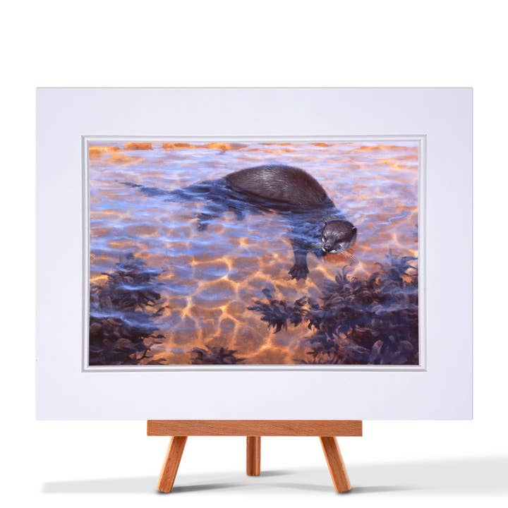 Otter Fine Art Print voor wholesale door Julian Friers Wildlife Art & Gifts