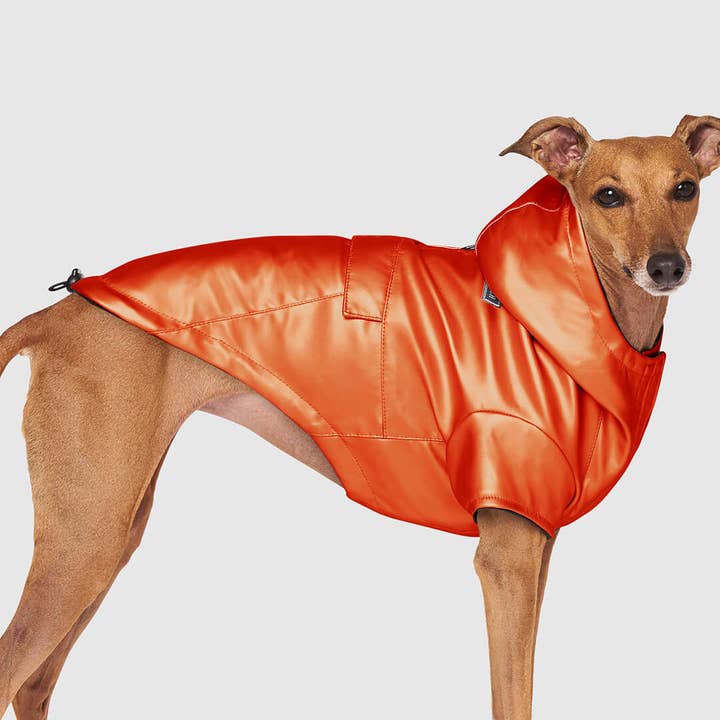 Cold Front Regnrock - Hundregnrock för wholesale av Canada Pooch