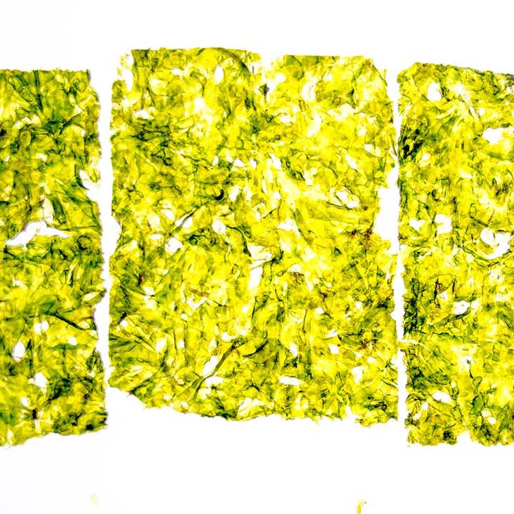 8x KULAU biologische nori snack chili 4 g voor wholesale door KULAU