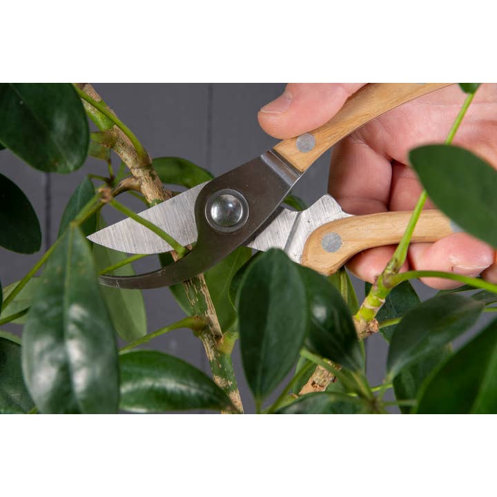 Fallen Fruits Ltd – wholesale Garden tool – GT234 - Giftset Garden Pruning Tools2