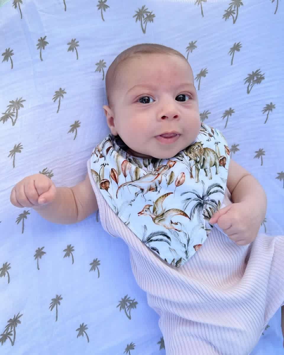 Cuddle Bug & Co - Wholesale Bib - Baby - Mini & Me Waterproof Dribble Bib Jurassic1