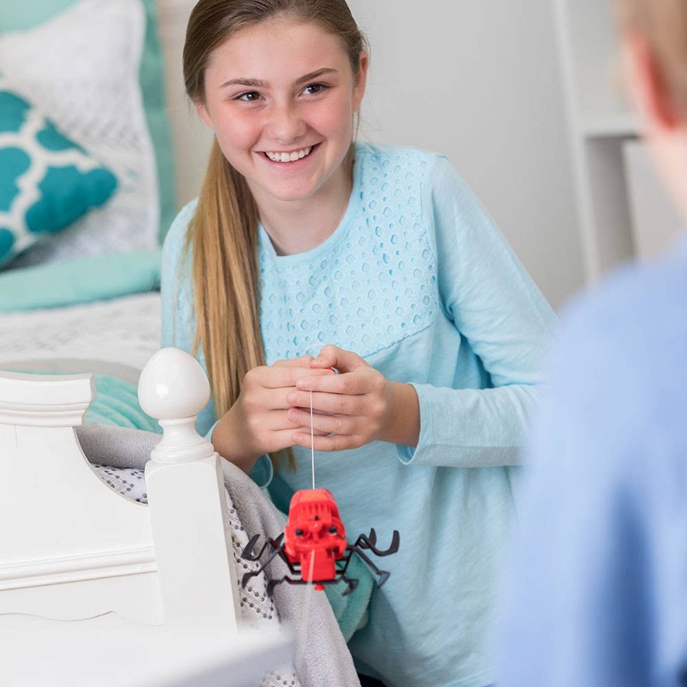 The Toy Network - Wholesale Electronic Toy - Kids & Baby - KidzRobotix /Spider Robot6