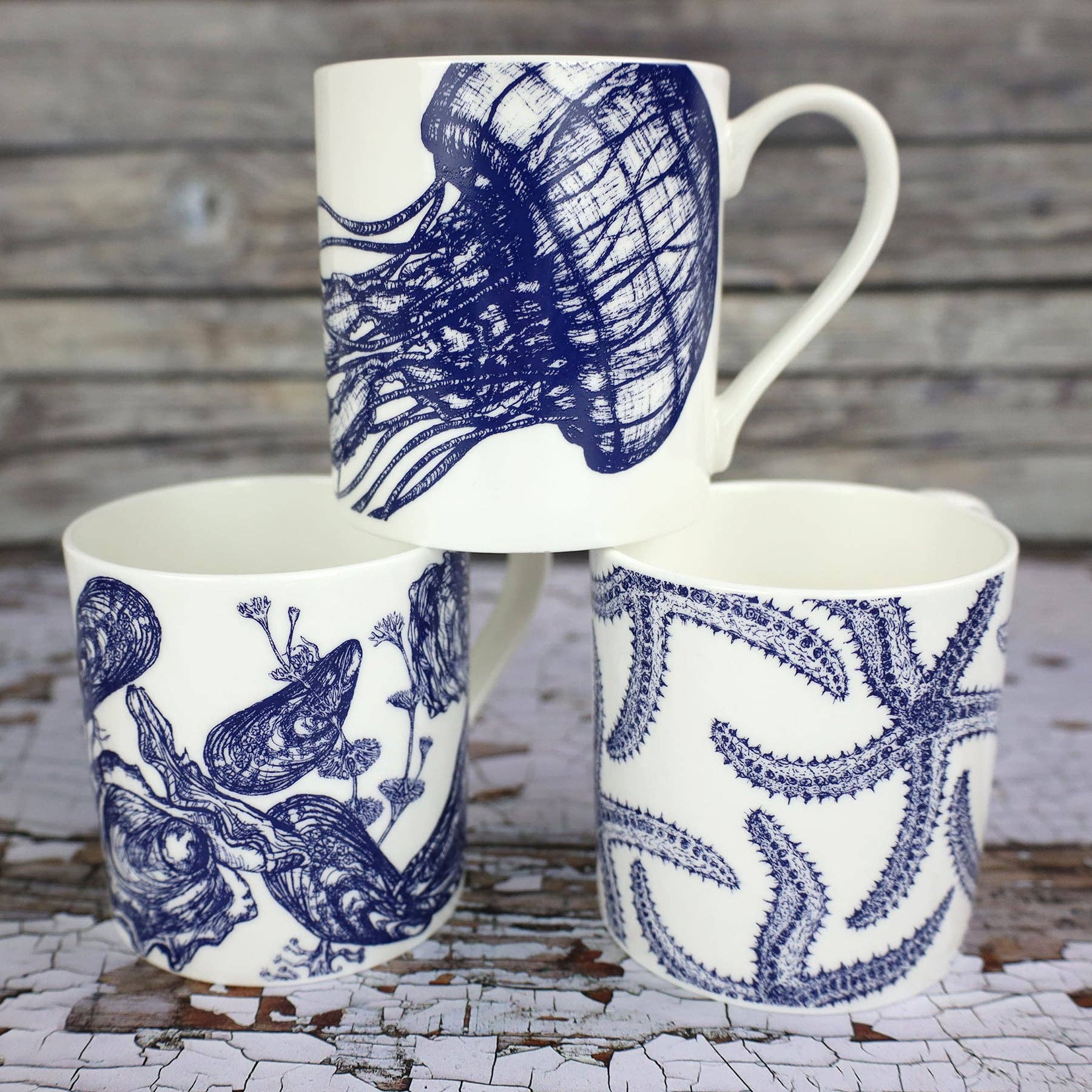 Cream Cornwall - Wholesale Coffee Mug - Bone China Mussel & Oyster Mug4