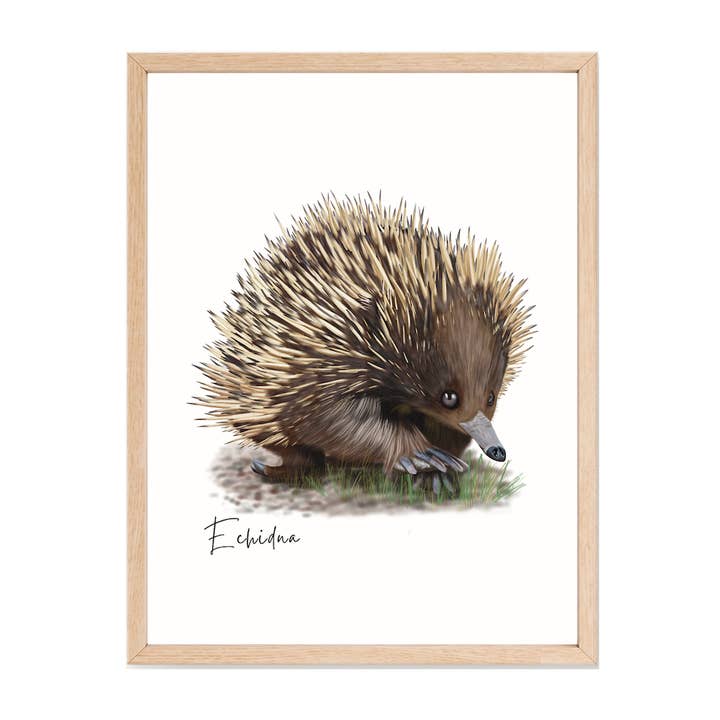 Echidna Indfødt Australsk Flora og Fauna Plakat for engroshandel hos Taylor Hill Scarves & Co