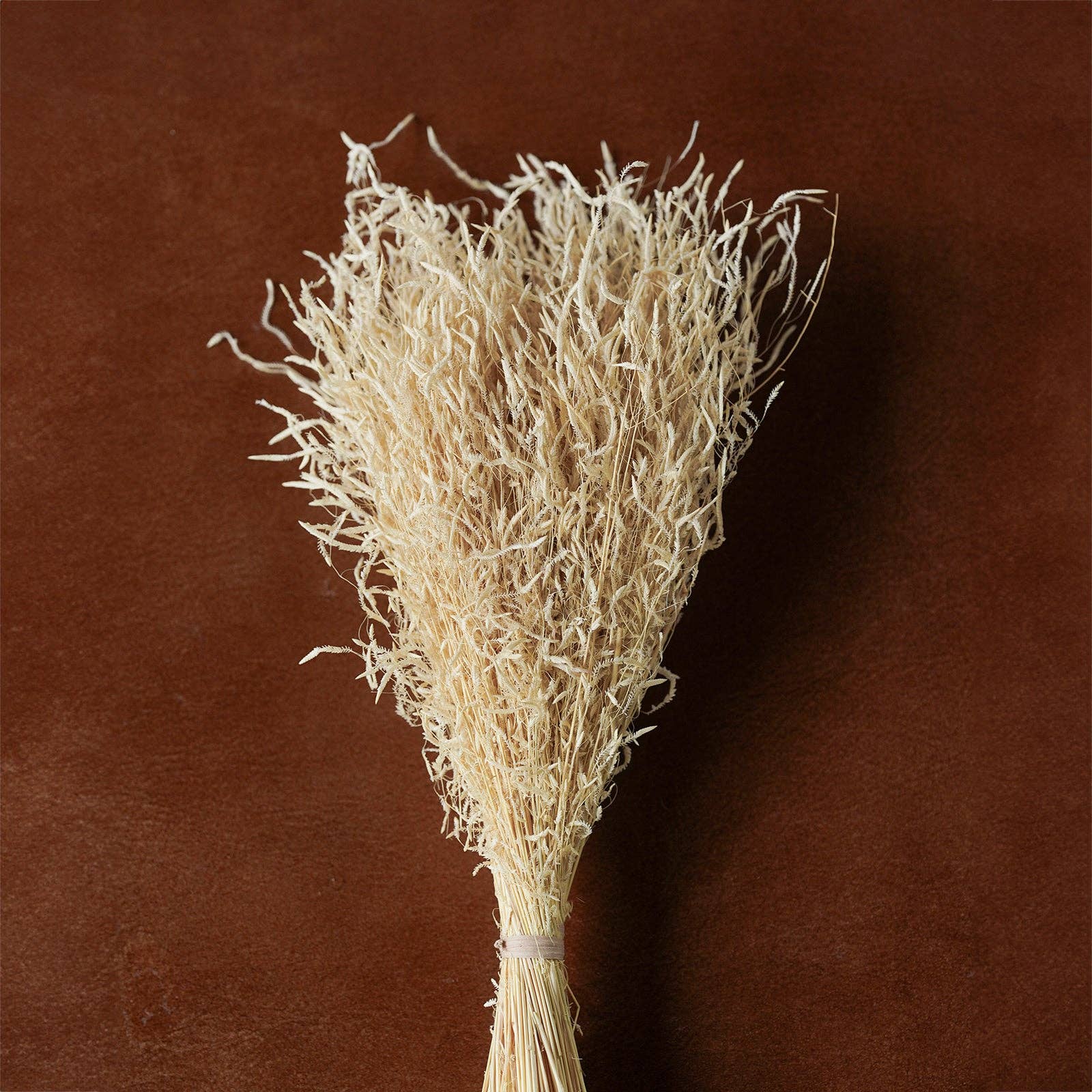 Blue Ocean Traders - Wholesale Dried/Pressed Flowers - Mixed Dried Grasses and Florals Bleached, 12"2