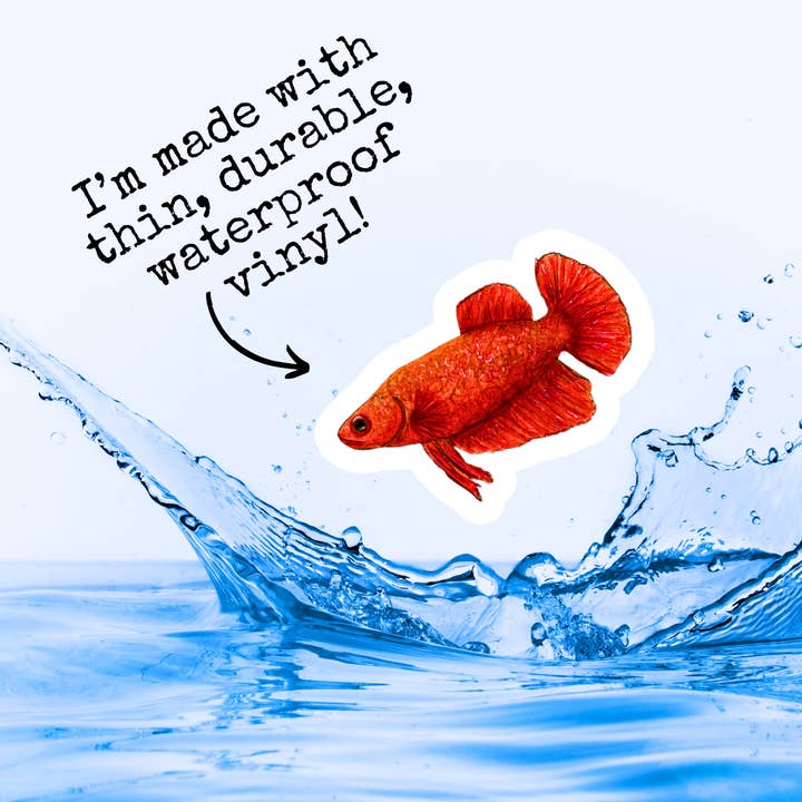 Fins and Frags - Wholesale Sticker - Handmade Red Betta Sticker, for Fish & Aquarium Lovers4