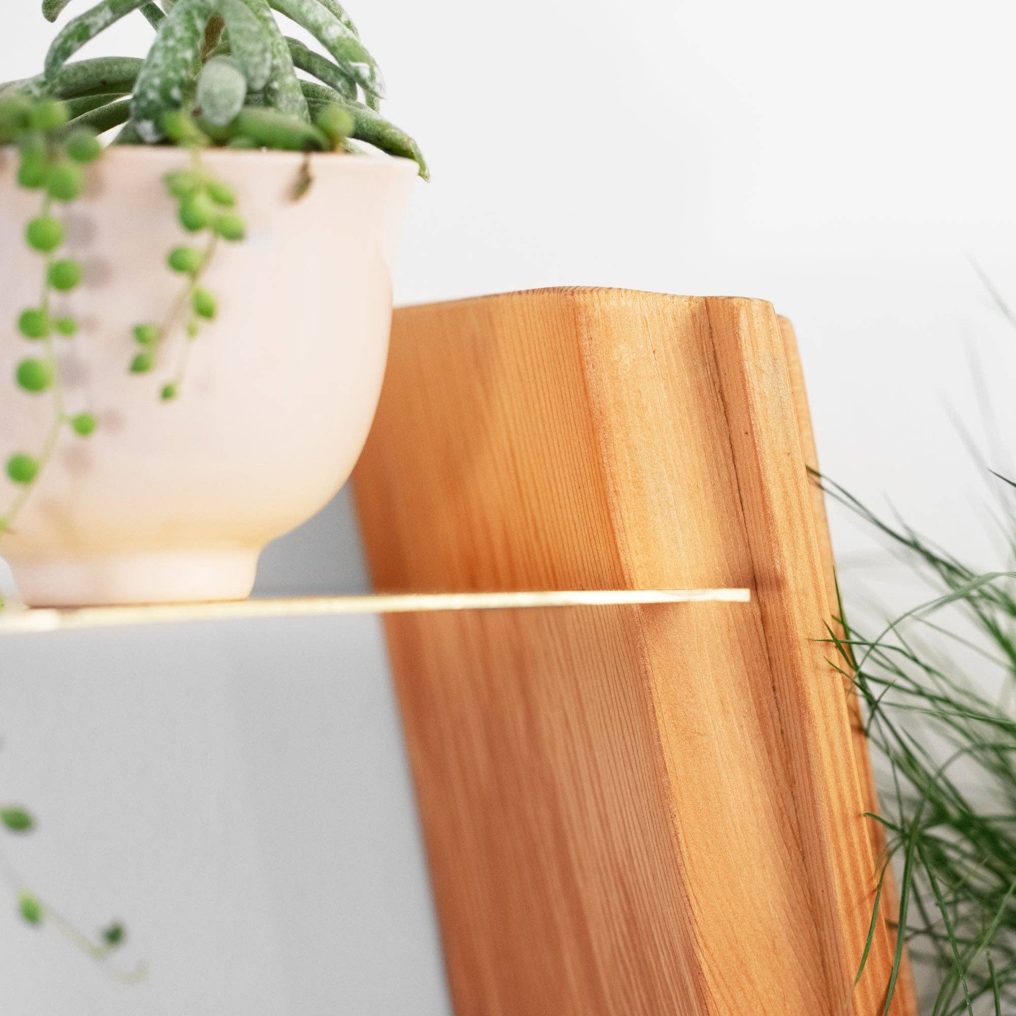 Formr – wholesale Wall-mounted shelf – Wallflower wall-mounted plant shelf4