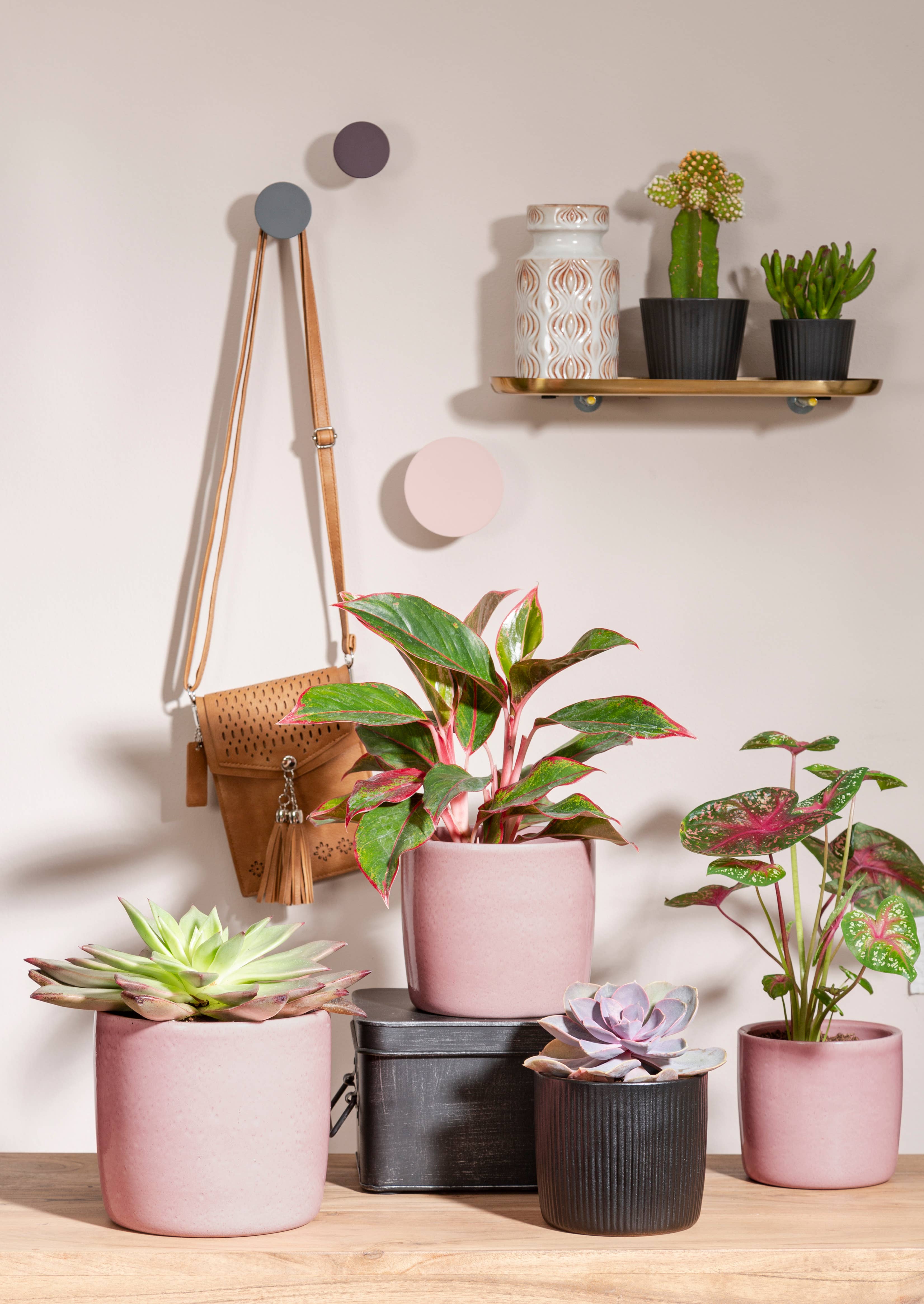 Scheurich - Wholesale Plant Pot - Set of 2 Solido Linea 909 ceramic planters1