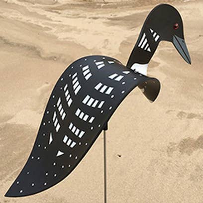Loon Bird for wholesale by Florida Dancing Birds