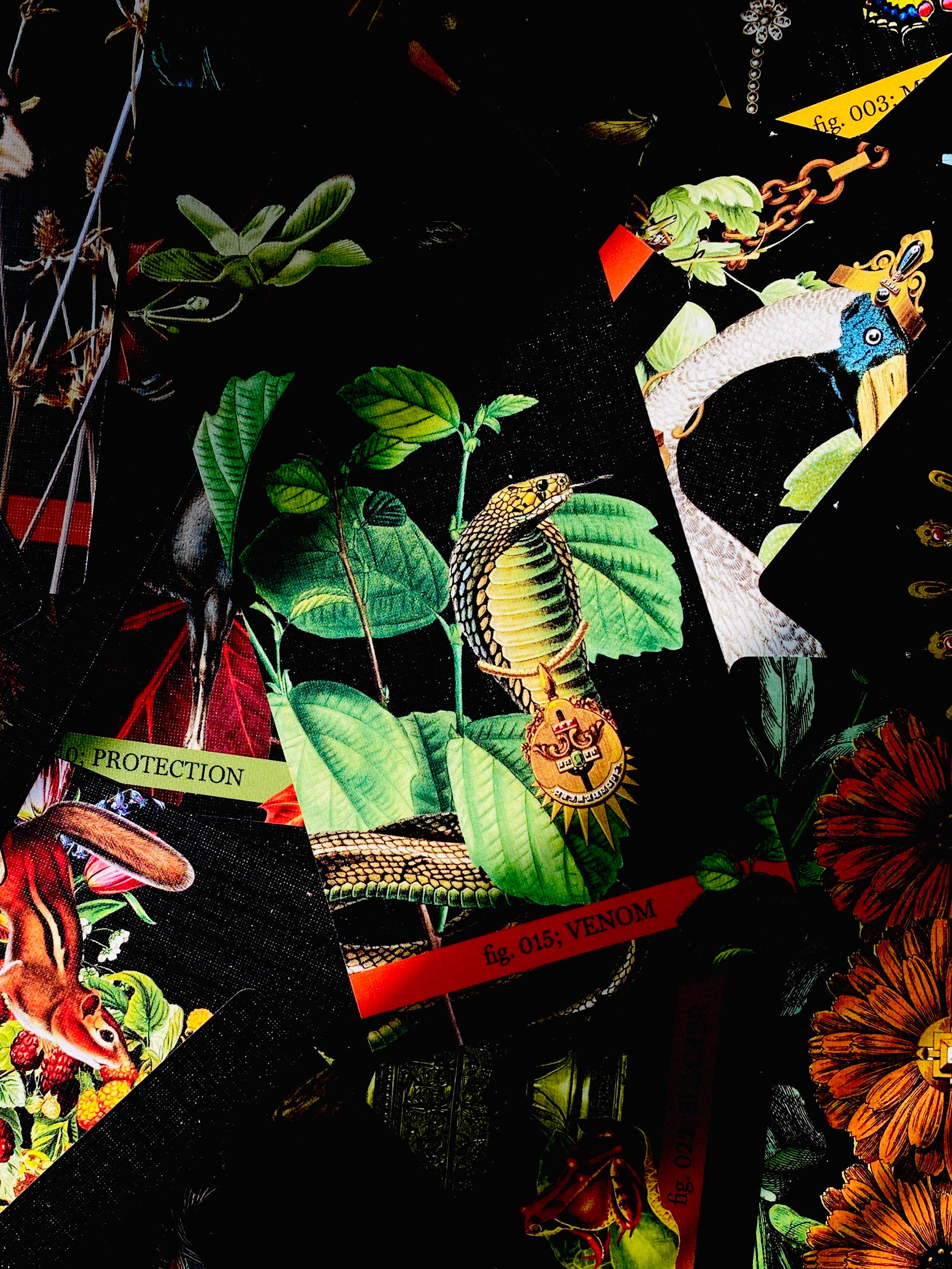 Cosmic Butcher - Vendita all'ingrosso Tarocchi - Mazzo Oracle e Lenormand «Eternal Gardens» | Indie Tarot Deck12