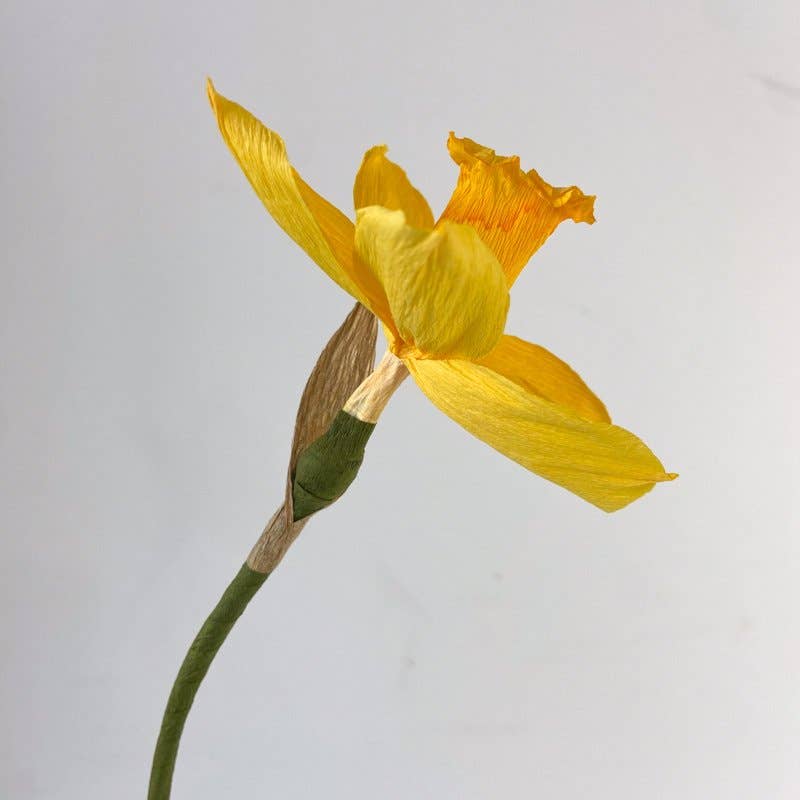 Papercraft Miracles LLC – Großhandel Künstliche Blumen – Narzissen aus Krepppapier2