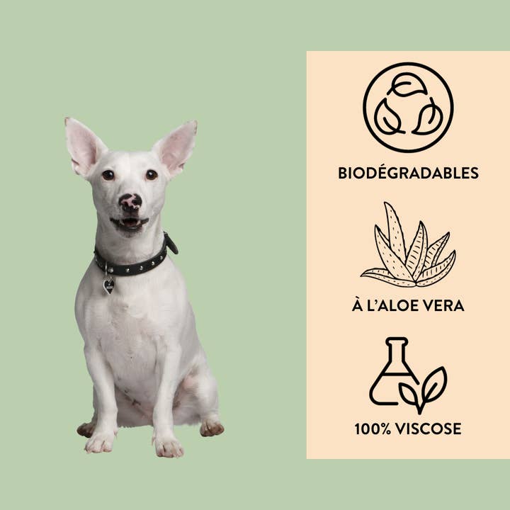 Hello Jack - Wholesale Pet Grooming Aid - Dog - Biodegradable Aloe Vera Wipes for Dogs and Cats