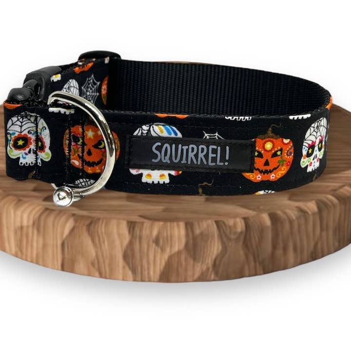 Halloween Collar for wholesale by Squirrel!