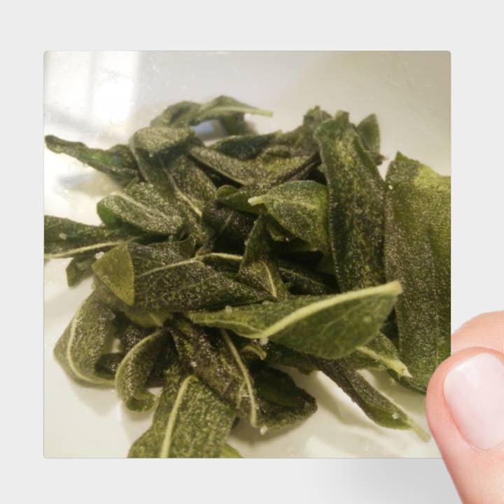 Pegatina | 3 x 3 | Salvia Crujiente para venta al por mayor de Creative Artifacts HQ